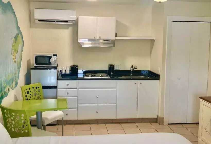 اتاق استاندارد با تخت بزرگ برای معلولان, Magic Beach Motel  Vilano Beach, Saint Augustine