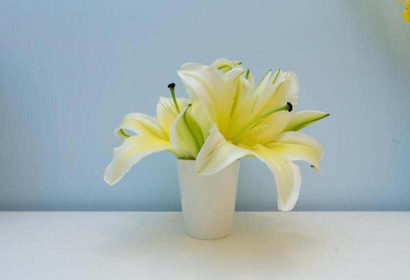 Номер Стандарт, Windsleep International Apartment Hotel Free Delivery To The Venue Of The Canton Fair&cantonese Brea