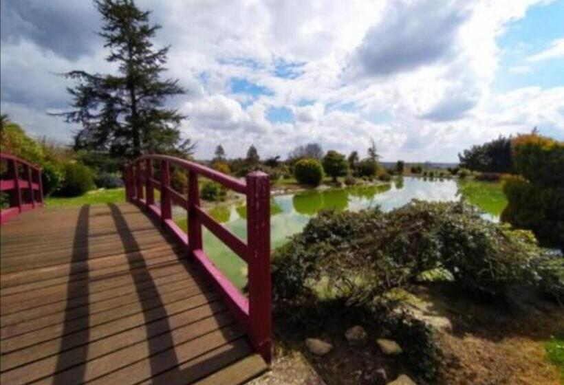 Номер Стандарт, Domaine Du D Day