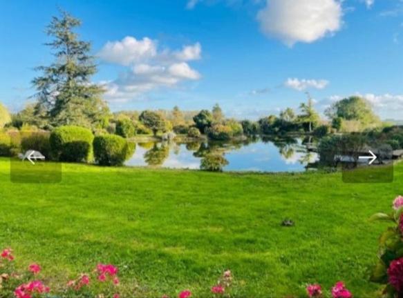 Номер Стандарт, Domaine Du D Day