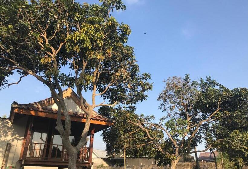 스탠다드 테라스 룸, Muni S Lombok Bungalow