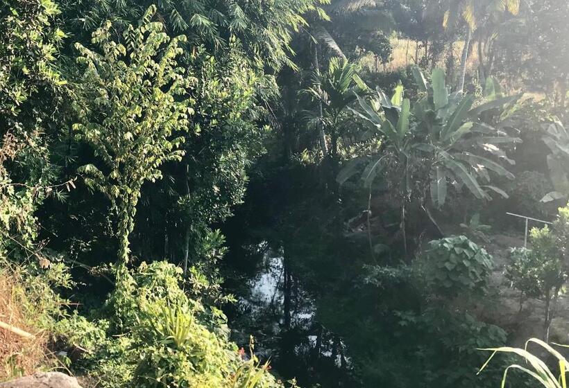 스탠다드 테라스 룸, Muni S Lombok Bungalow