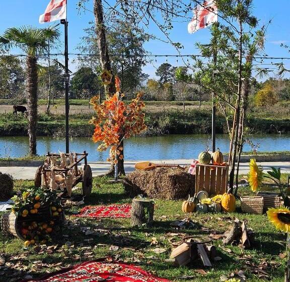 اتاق استاندارد, Iveriabeach