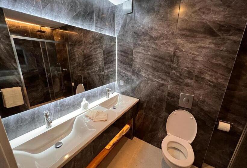 חדר דלוקס, Altstadt Hotel Schwanen