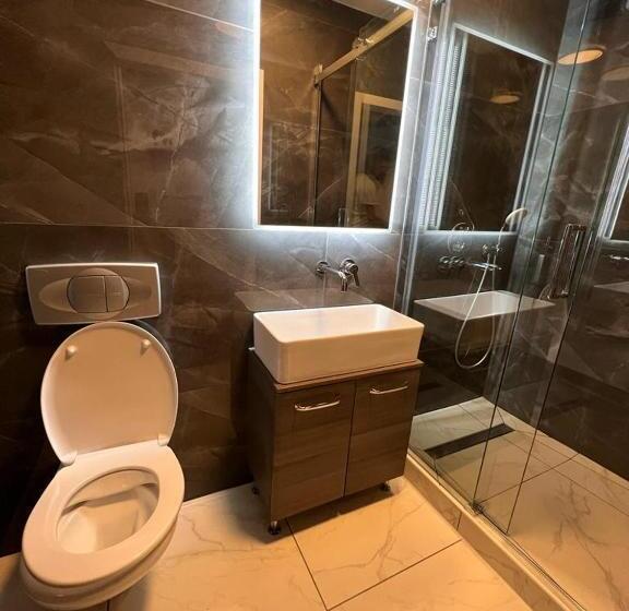 חדר דלוקס, Altstadt Hotel Schwanen