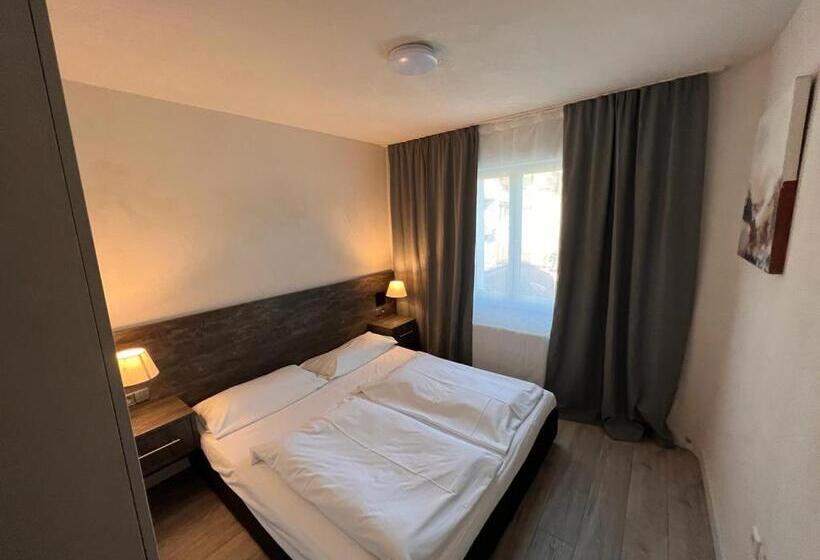 Номер Deluxe, Altstadt Hotel Schwanen