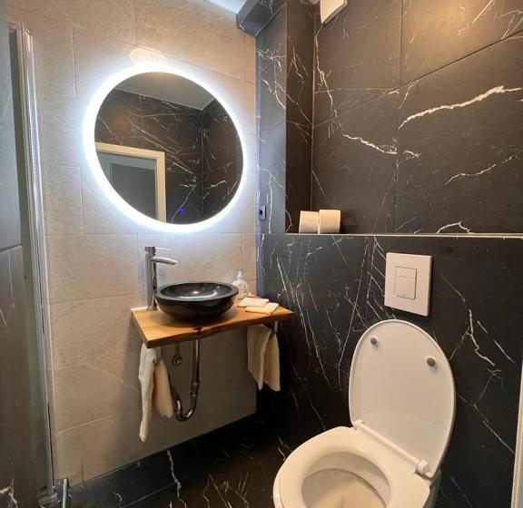 חדר דלוקס יחיד, Altstadt Hotel Schwanen