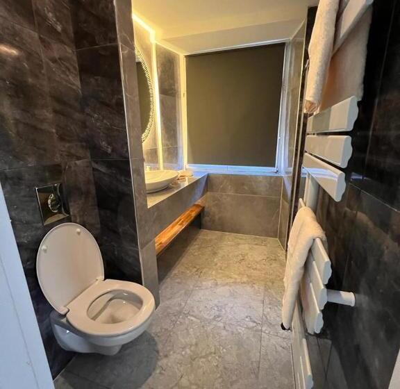 סוויטה דלוקס, Altstadt Hotel Schwanen