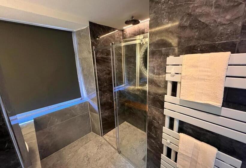 סוויטה דלוקס, Altstadt Hotel Schwanen