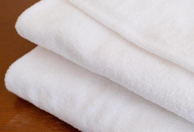 اتاق عادی, Fuji Sakura Onsen Ryokan