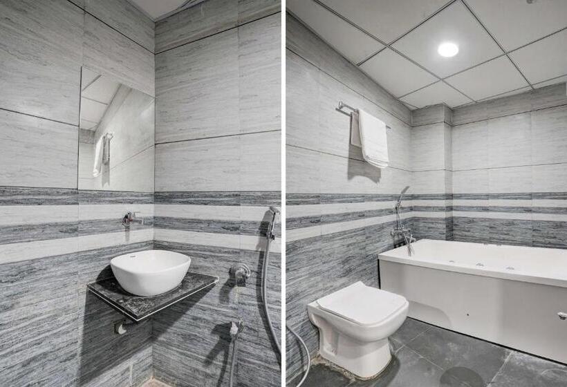 Номер Стандарт, Oyo Flagship Hotel Lavish
