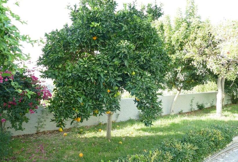 شقة غرفة نوم واحدة بالطابق الأرضى, Casa Fialli