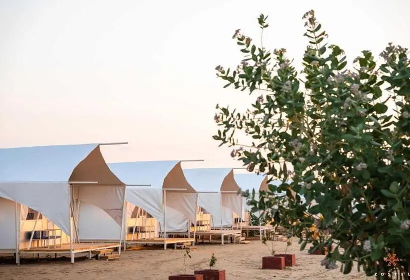 Tenda Standard, Zostel Sam Desert