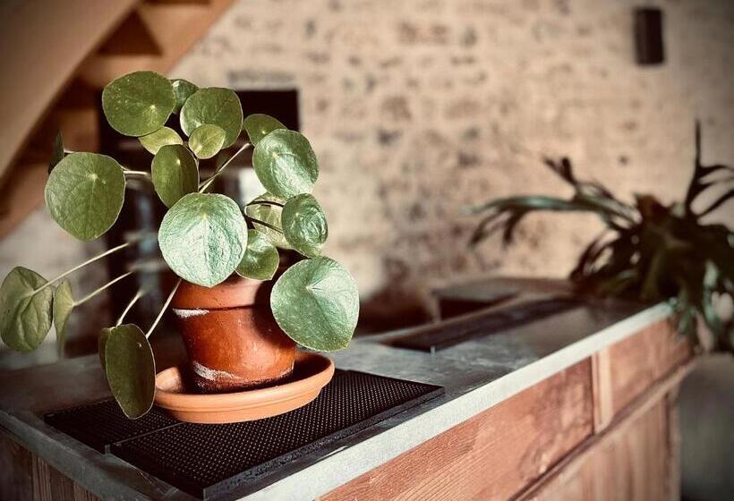 스탠다드 룸 킹사이즈 침대, Le Clos De L Olivier