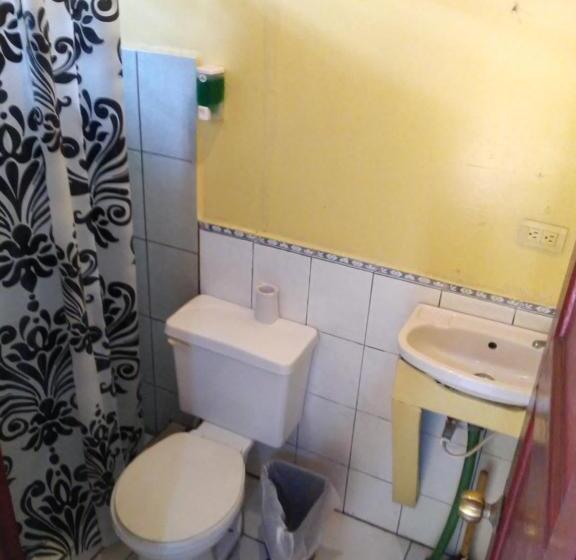 اتاق استاندارد, Allan Veintiocho Puntarenas