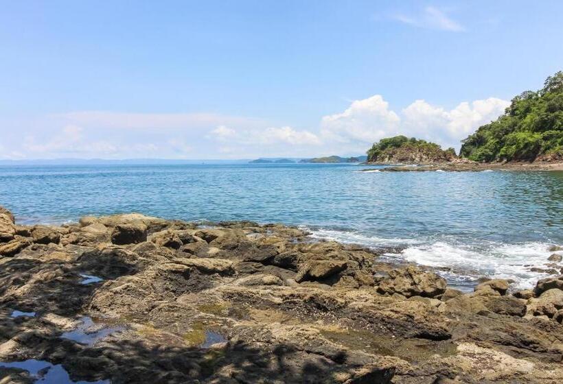 １ベッドルームアパートメント, Bahia Pez Vela Villa Combo Units 18 And 19