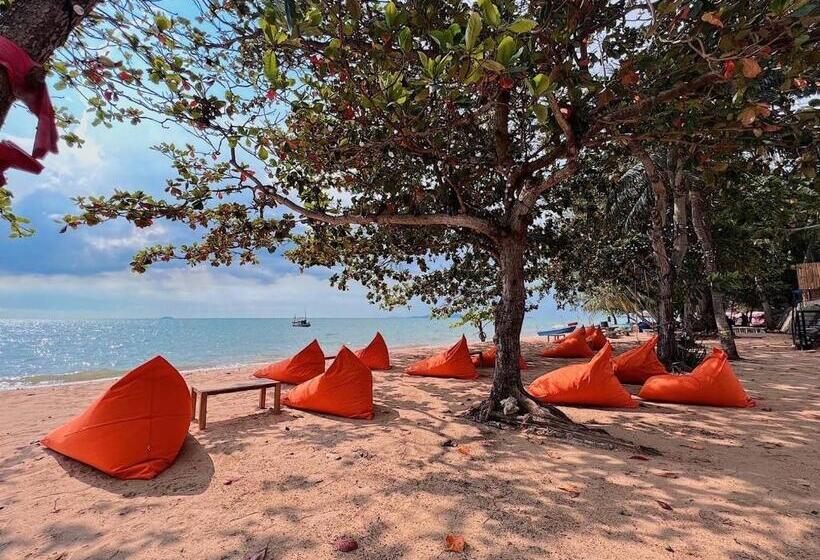 オーシャンビューの1ベッドルームビラ, Dojo Poolvilla Beach Resort Private Beach Villa