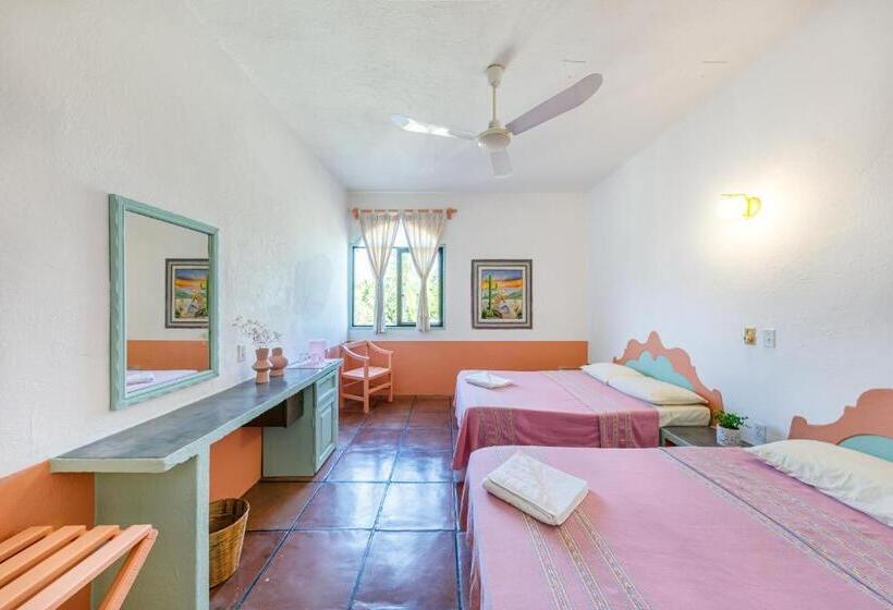 غرفه قياسيه سريرين مزدوجين, Flor De Maria