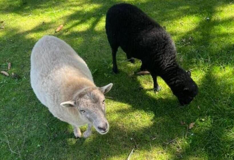 Семейный Номер, Chambres D Hôtes Rénovées Avec Piscine, Cœur De Ville, Proche Zoo Et Prytanée, Petit Déj Inclus Fr