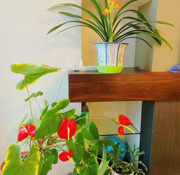 Háromágyas Standard Szoba Megosztott Fürdővel, Derbyshire House