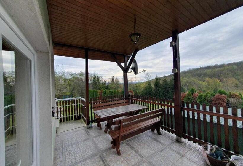 شقة غرفة واحدة مزودة بتراس, Egervári Béres Vendégház  Középső Apartman