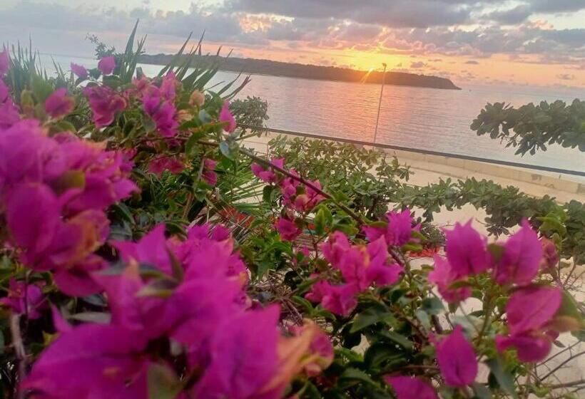 استودیوی استاندارد با چشم‌انداز دریا, Playa De Bombora Inn