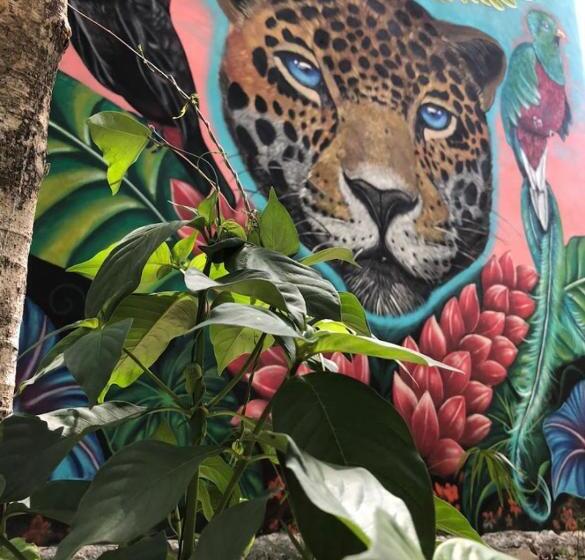 شقة غرفة واحدة مطلة على الحديقة, Aldea Jaguar