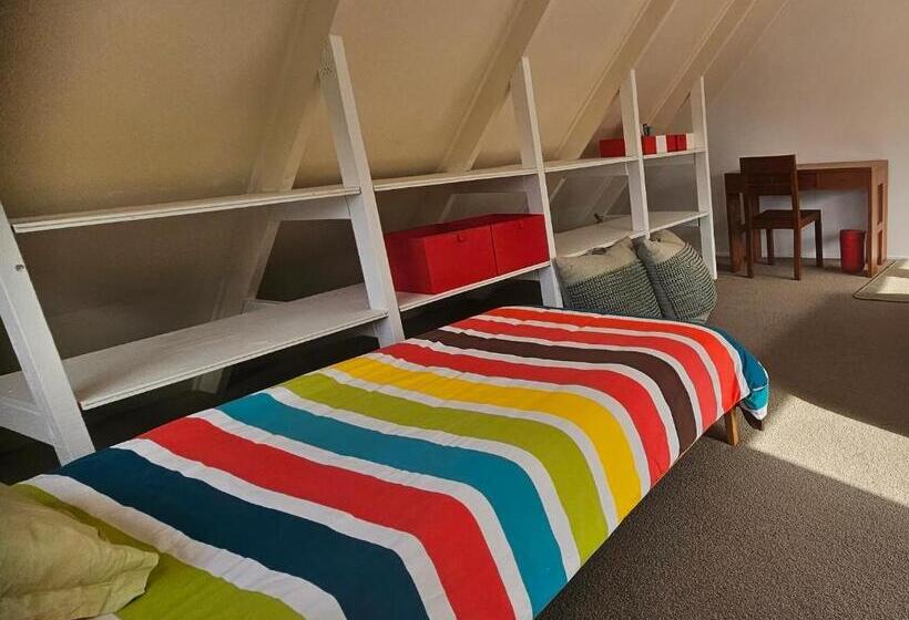 استودیوی استاندارد, Forest Waters Bungalow