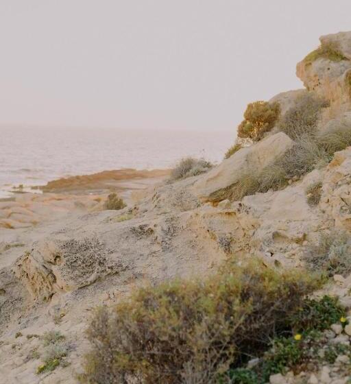 استودیوی استاندارد, Dunas De Formentera