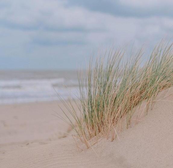 سوئیت جونیور با چشمانداز باغ, Dunas De Formentera