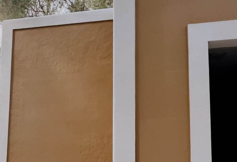 استودیوی استاندارد, Dunas De Formentera