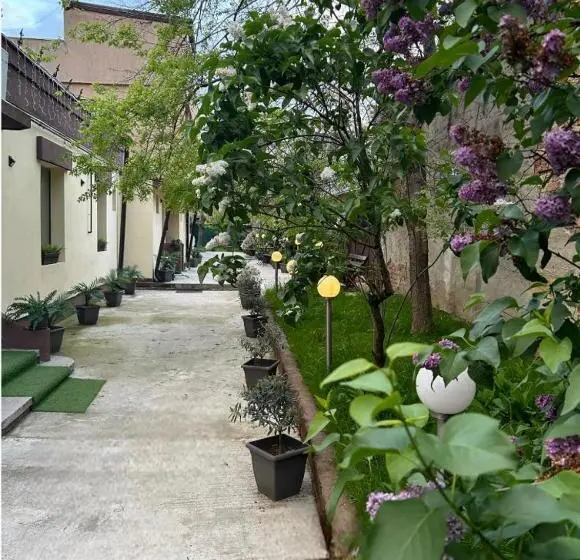 اتاق استاندارد, Ambiennt