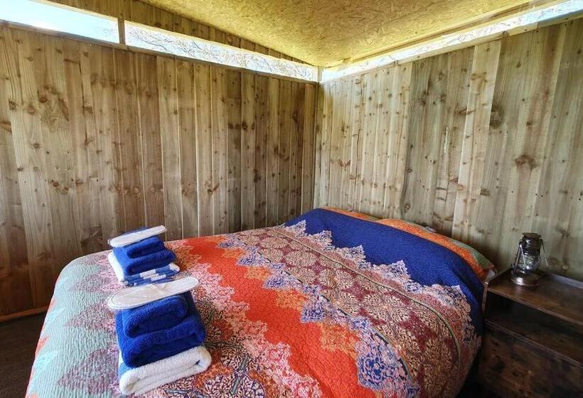 شاليه غرفة نوم واحدة, Willow Hill Farm Club