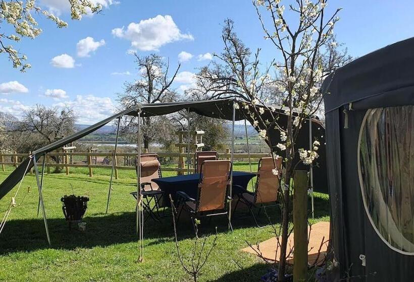 디럭스 패밀리 룸, Willow Hill Farm Club