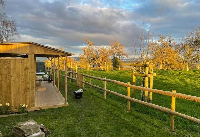 شاليه غرفة نوم واحدة, Willow Hill Farm Club