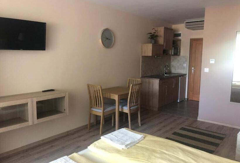 آپارتمان 1 خوابه با تراس, Castellum Apartmanház