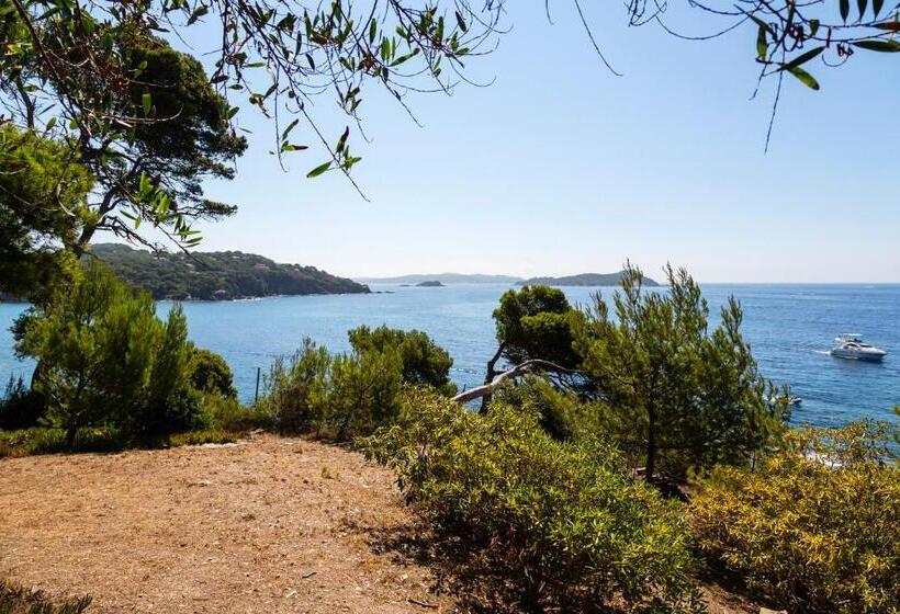 شقة غرفة واحدة مطلة على الحديقة, Parc Et Résidence Le Provençal