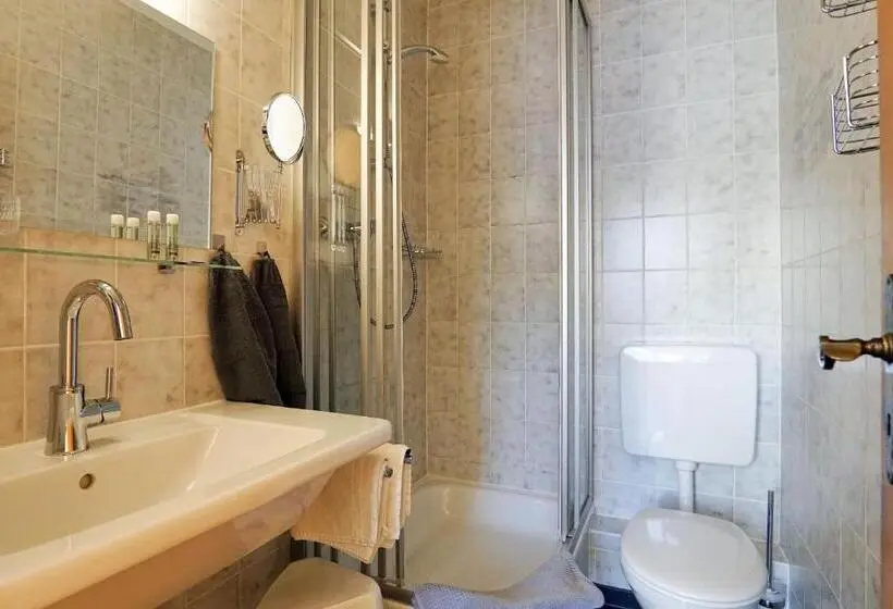 Standard-huone Parveke, Schneider Hof