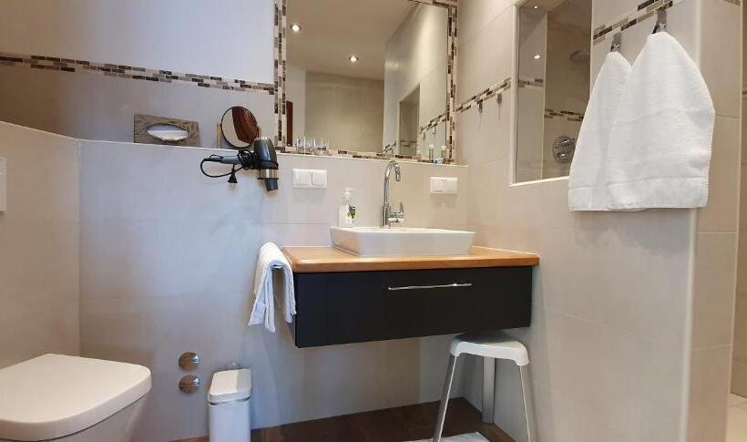 Habitació Economy, Schneider Hof