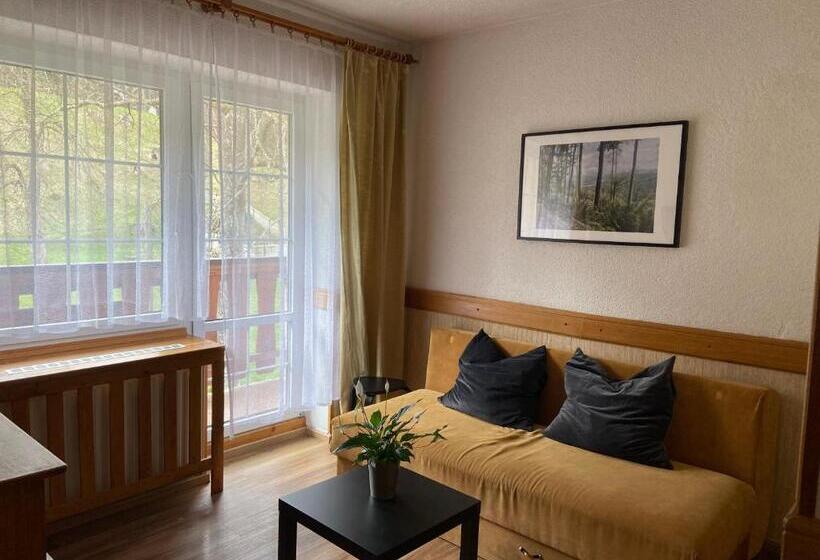 شقة غرفة نوم واحدة مزودة بشُرفة, U Studánky