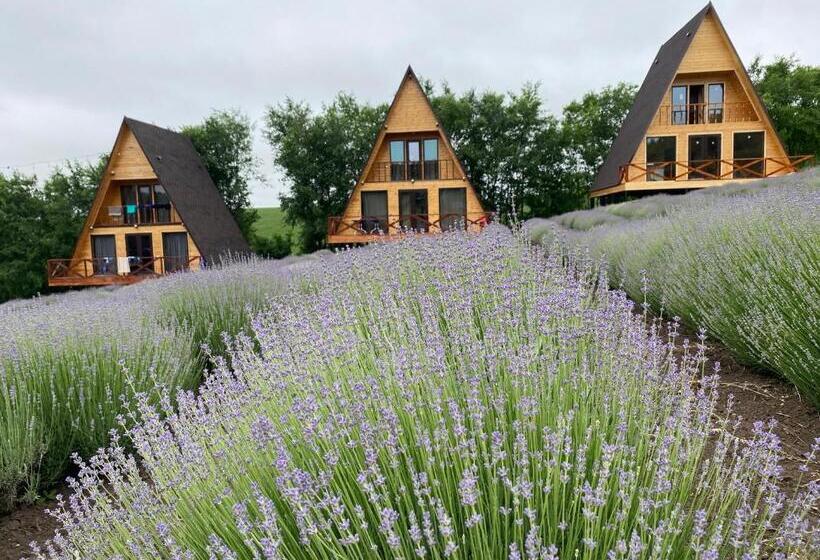 ファミリールーム, Pensiunea La Iepurasi