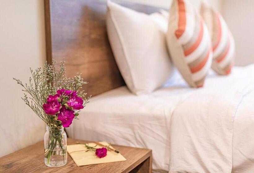 اتاق استاندارد سه نفره, Trần Long Cù Hin