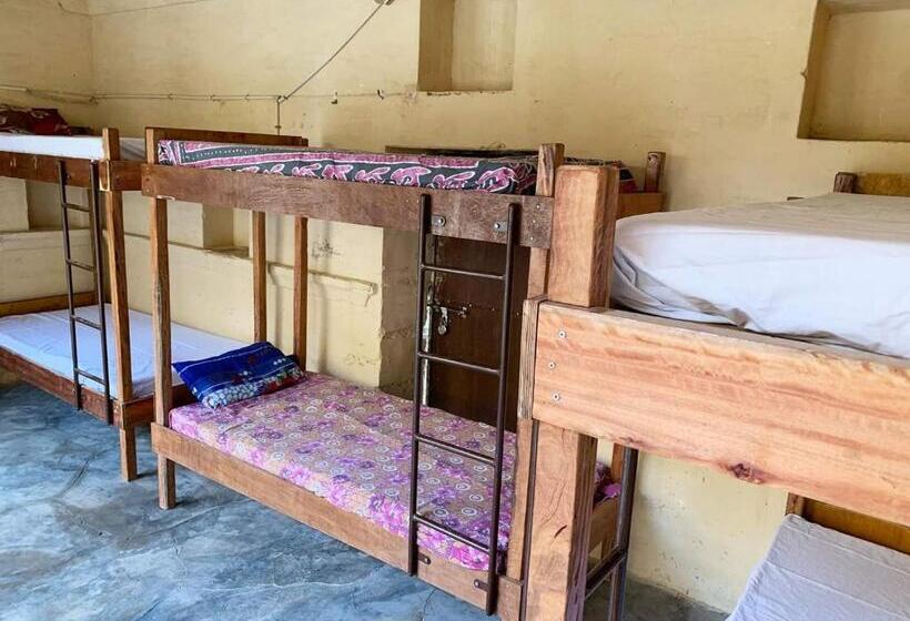 共用房间的床, Topaz Backpackers