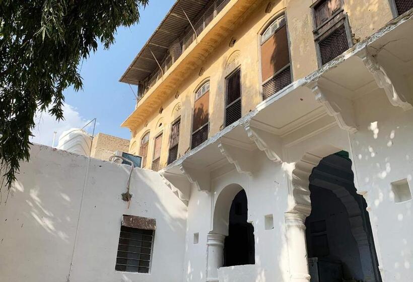 سرير فى غرفة مشتركه, Topaz Backpackers