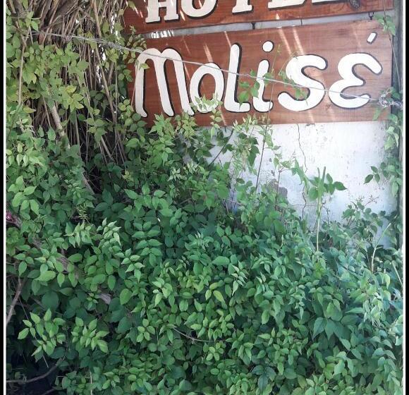 컴포트 트리플 룸, Molise