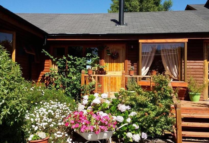 דירת שני חדרים, Shangrila Tunquen