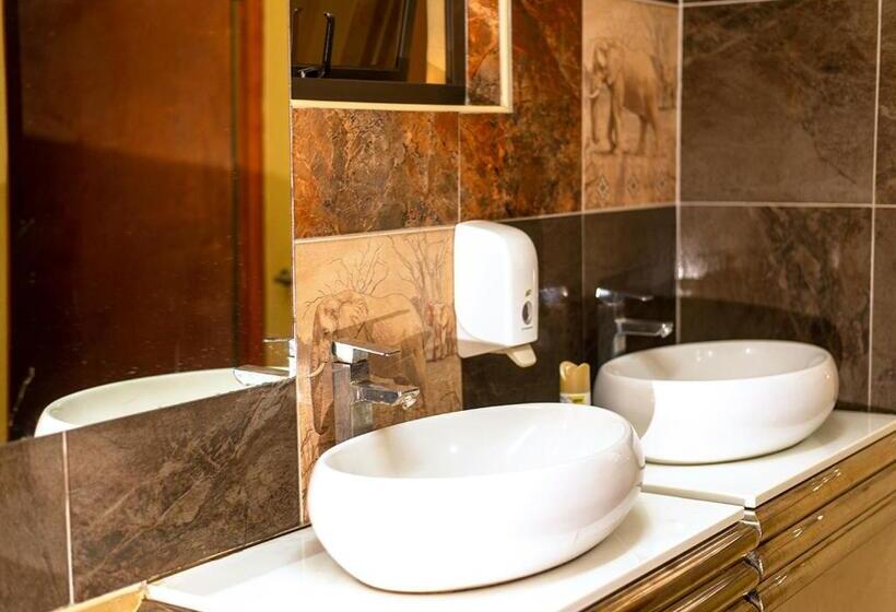 اتاق لوکس یک تخته, Msc Hotel Otjiwarongo