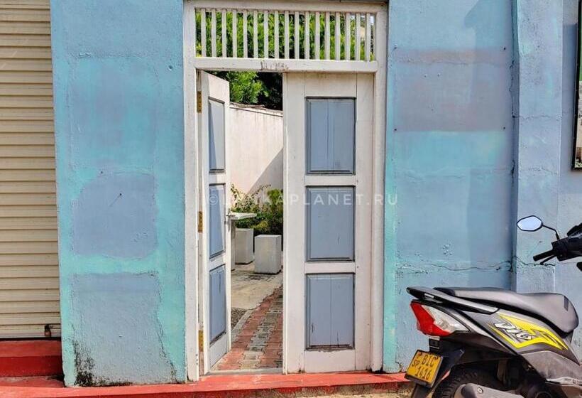 غرفة ديلوكس, Twin Palms