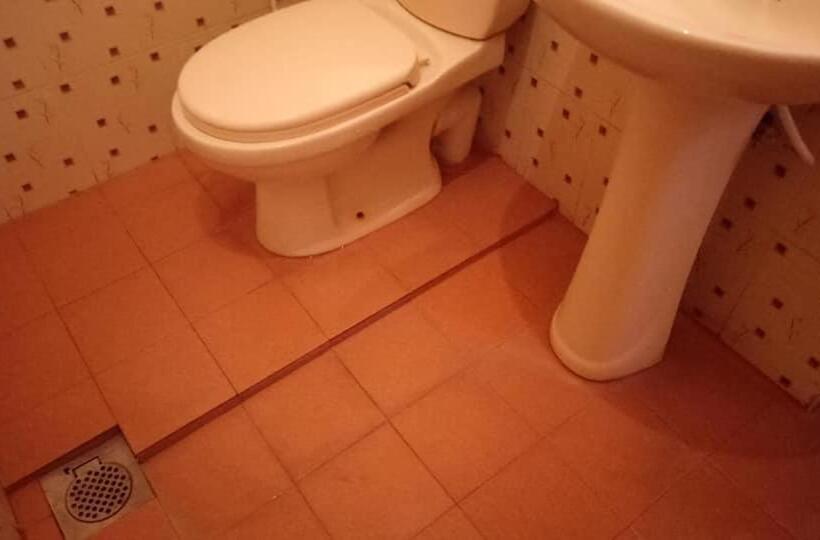 غرفة إقتصادية فردية, Twin Palms