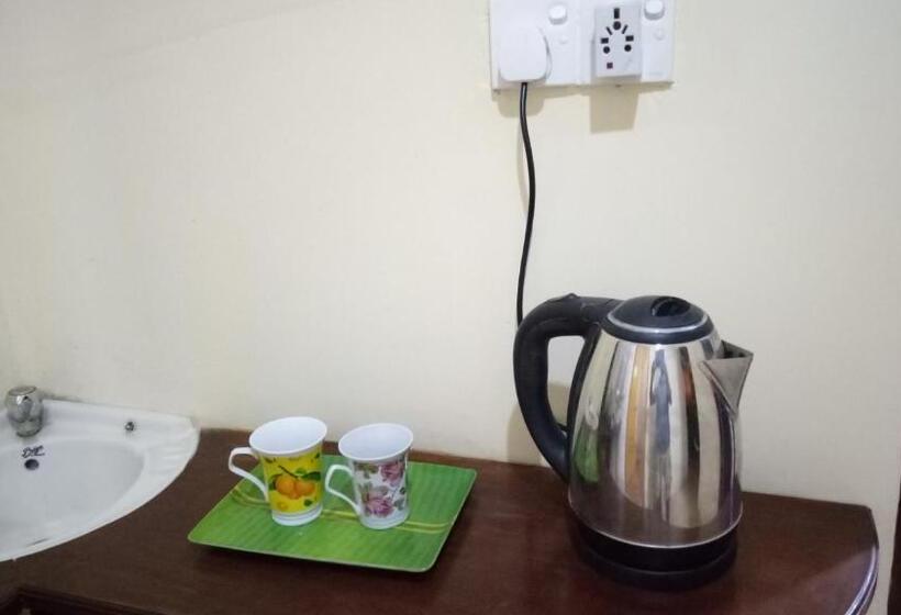 غرفة ديلوكس, Twin Palms